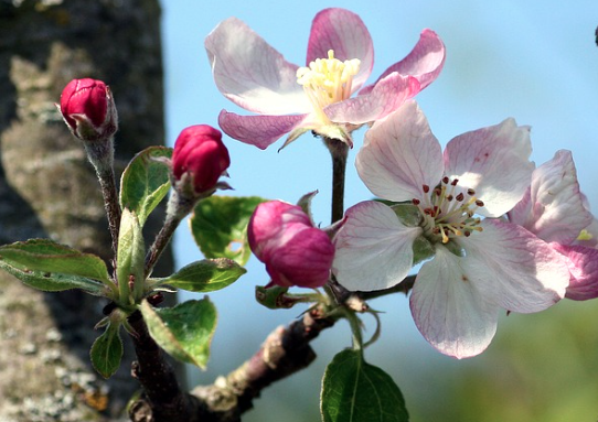 capture-decran-2017-01-05-a-12-49-41